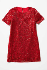 Vestido de lentejuelas color vino - Ninety Clothing Co