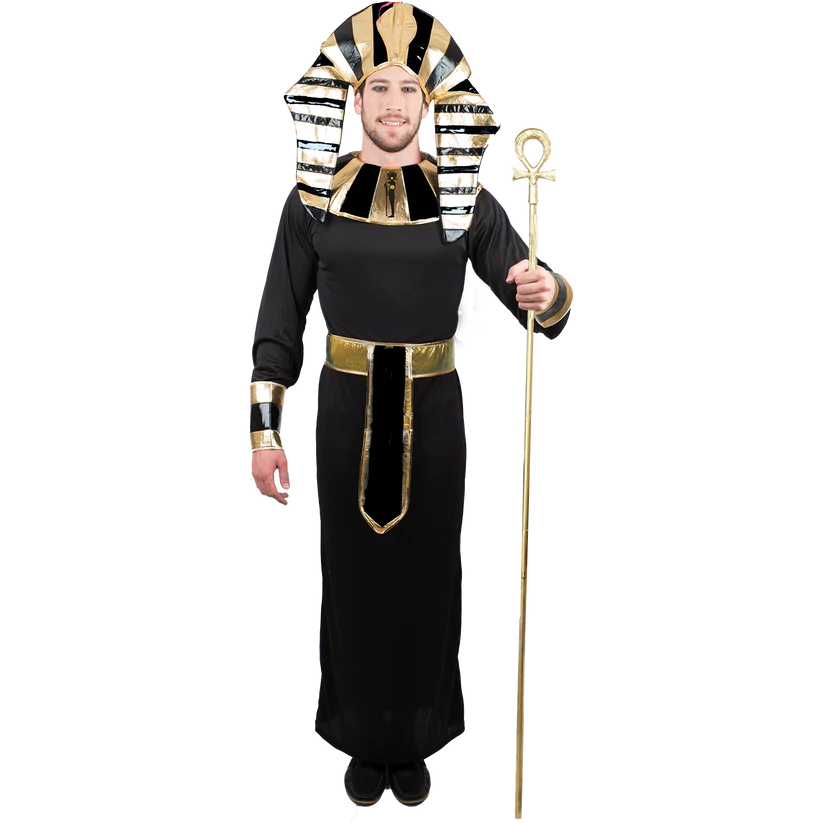 El hombre adulto rey de El Cairo