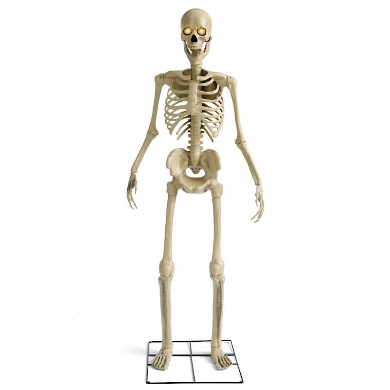 Esqueleto parlante animado de 5 FT