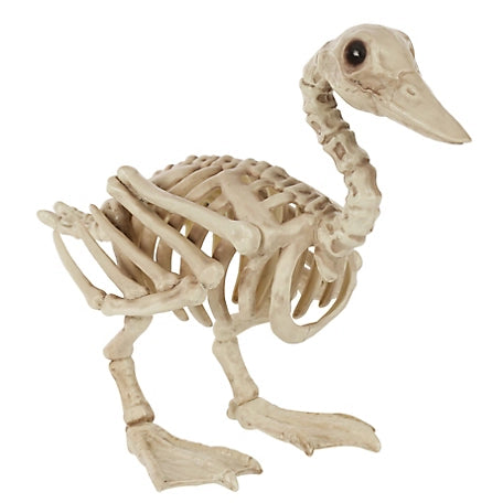Pato Esqueleto Pequeño  10.16 cm X 19.69 cm X 15.24 cm