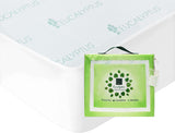 Eucalyptus Mattress Protector-Full