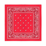 Bandana Red