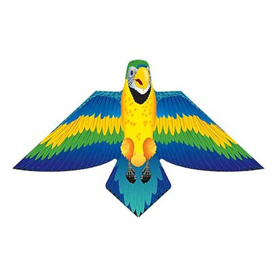 Guacamayo Azul 54