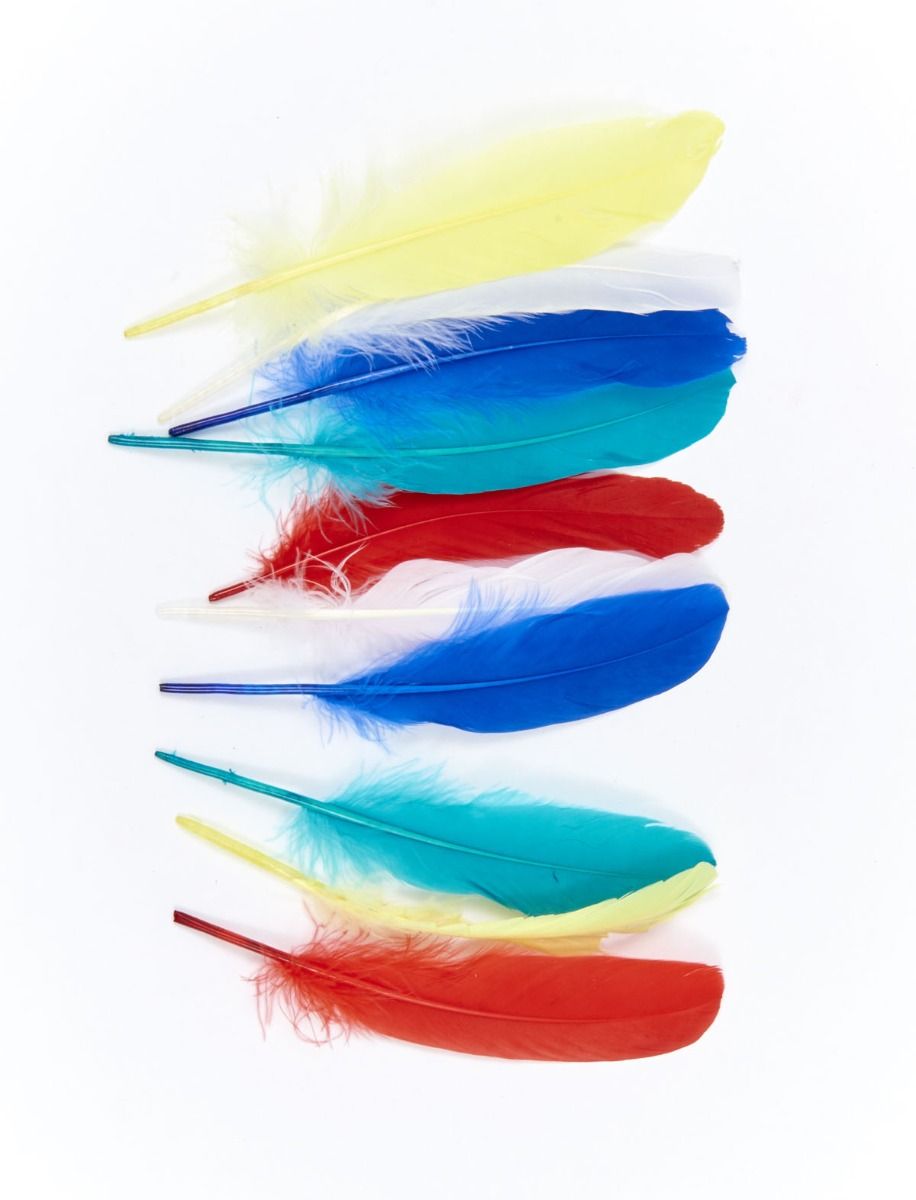 Plumas-13"-10 pzas Surt