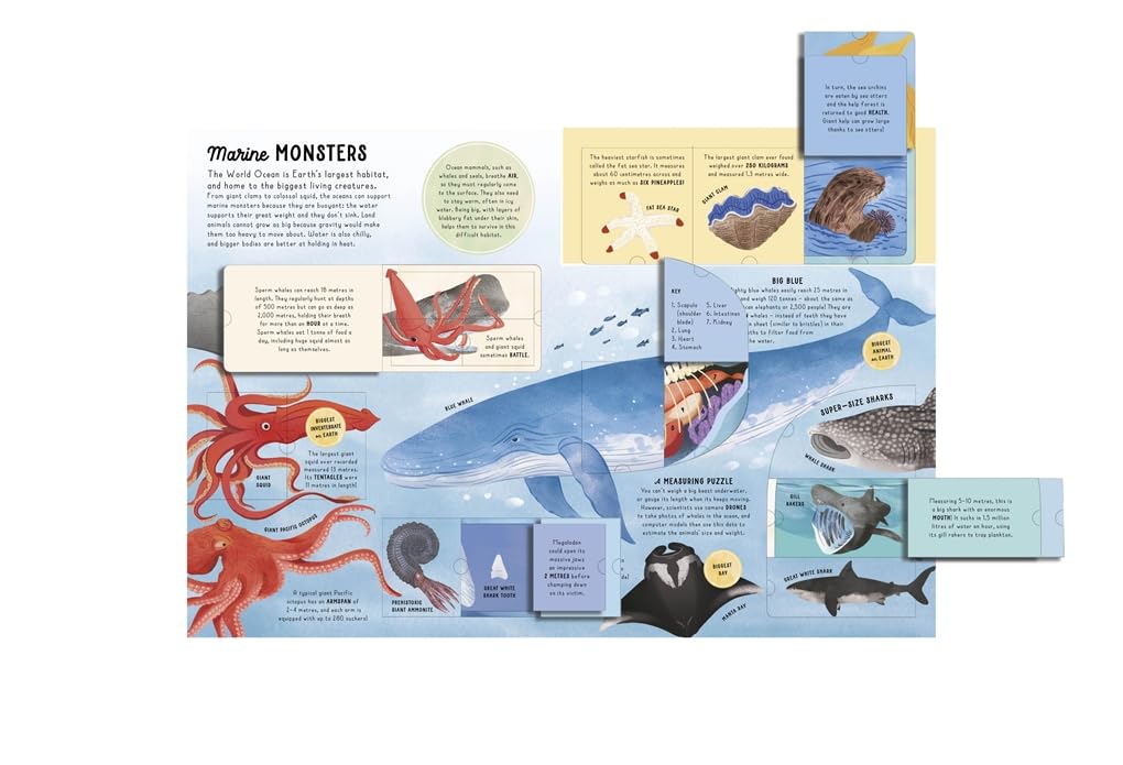 Ultimate Lift the Flap Encyclopedia of Oceans