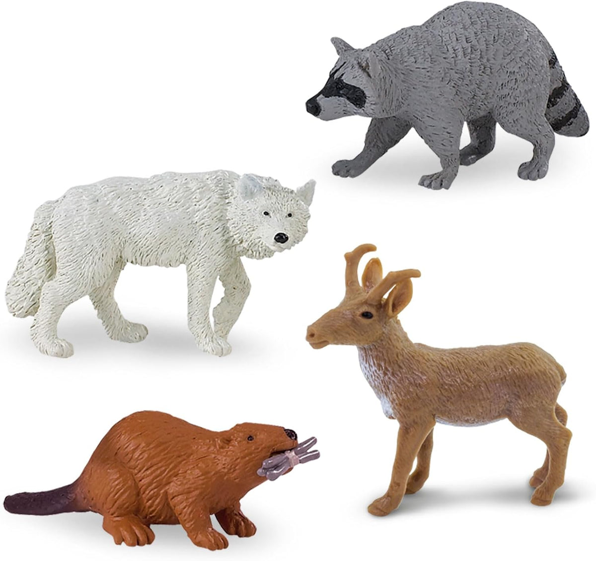 North American Wildlife