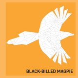 My Sticker Paintings: Birds
