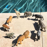 South African Animals