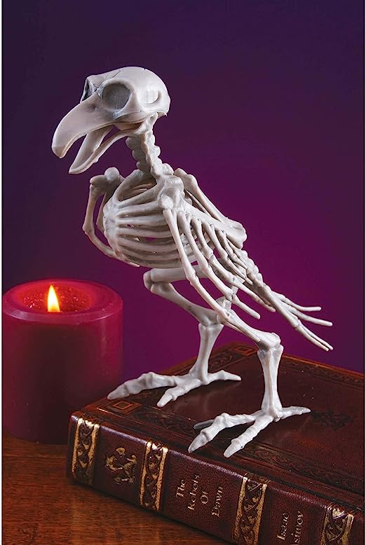 8" Skeleton-Bird