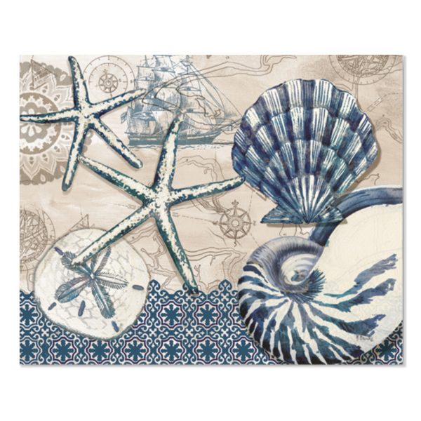 Conchas de Poza Intermareal-Alfombra Flexible 11.5 x 15