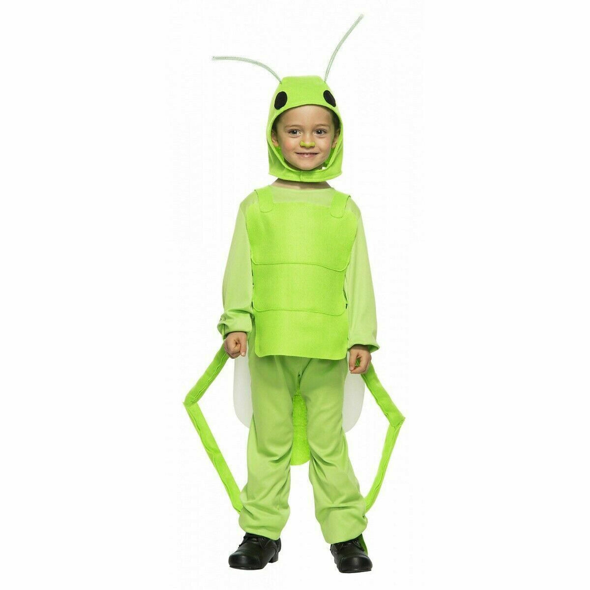 Flying Grasshopper