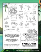 Hidden Picture Puzzles National Parks & Famous Places