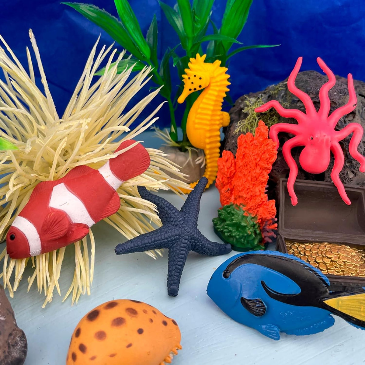 Coral Reef