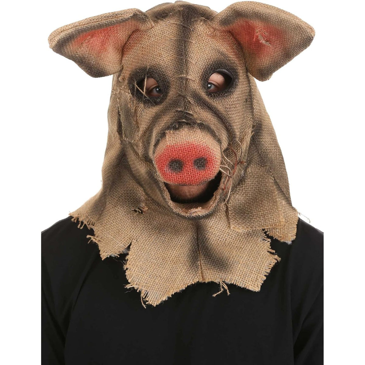 Máscara de cerdo espantapájaros