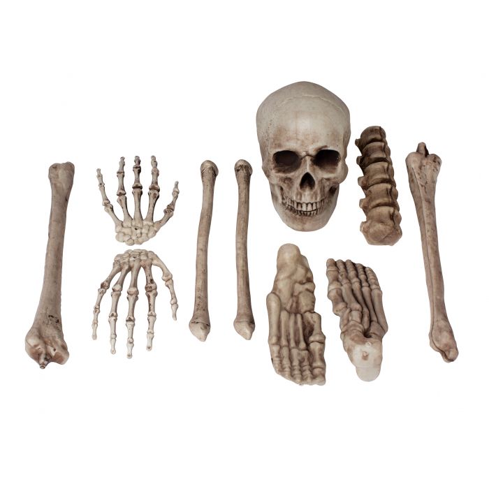Bag O’ Bones