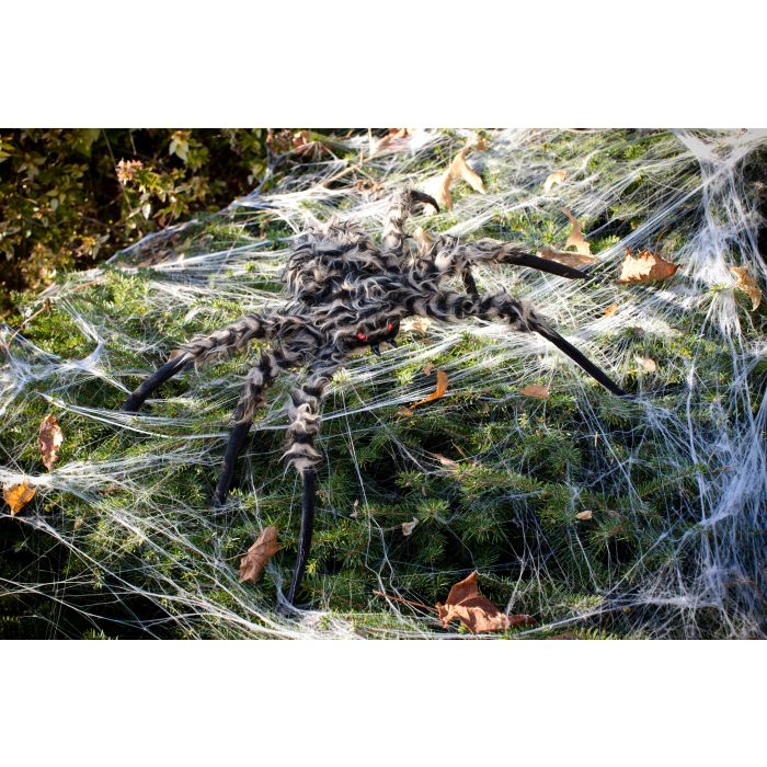 Araña peluda de 50 cm marrón