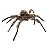Araña peluda de 50 cm marrón