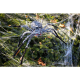 20” Fuzzy Spider Grey