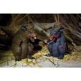 9” Ravenous Rats