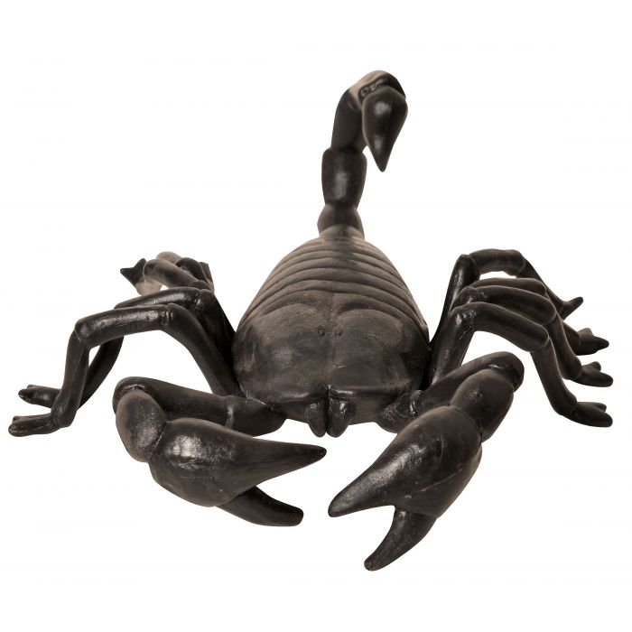 Escorpión gigante de 11 pulgadas