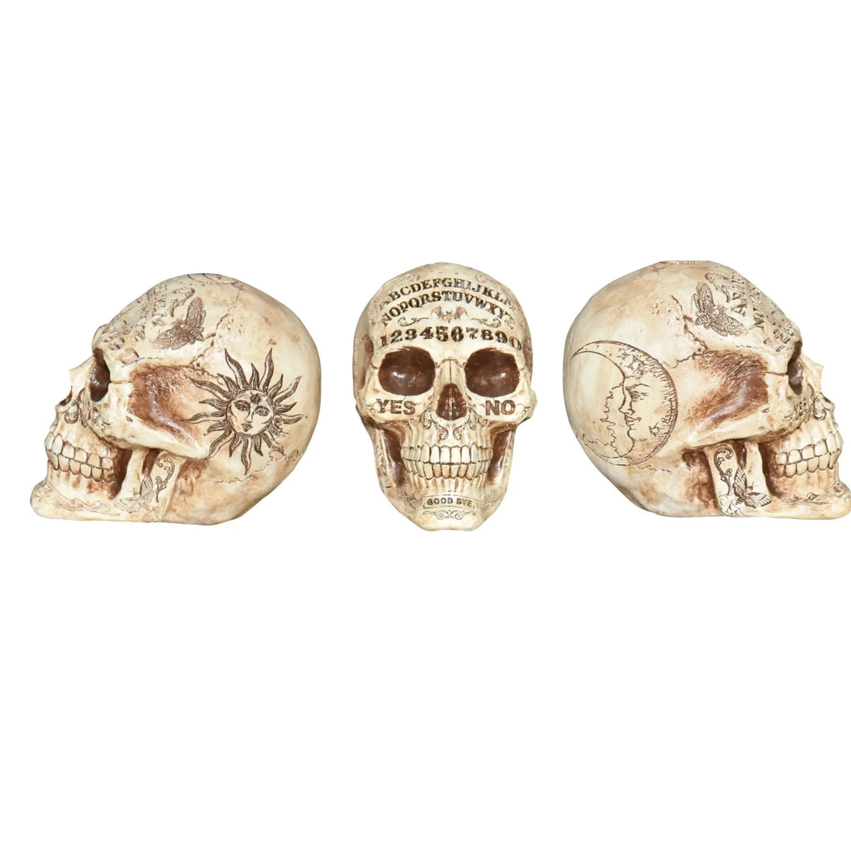 Números de calavera de adivinación de 7"