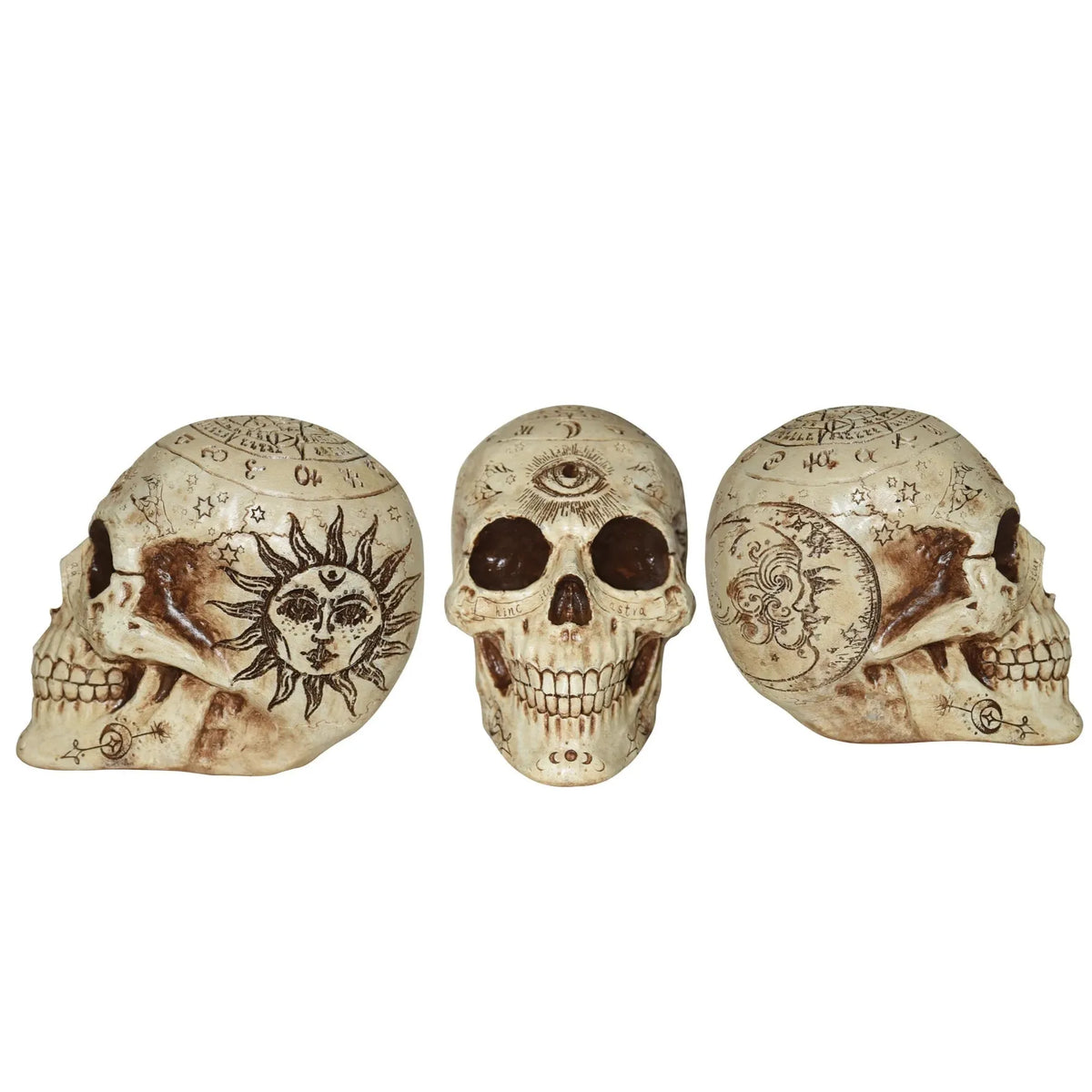 Calavera Adivinadora Ojo de 7"