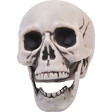 Calavera de 4" con mandíbula articulada en PDQ