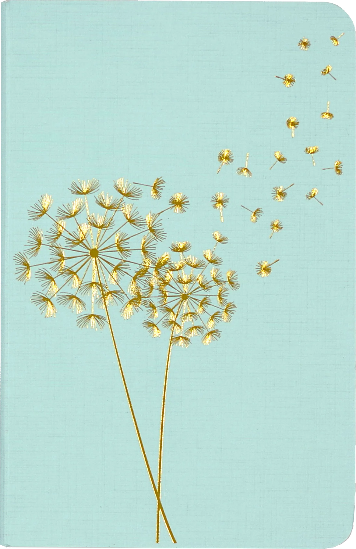 Jotter Mini Notebook Set: Dandelion Wishes