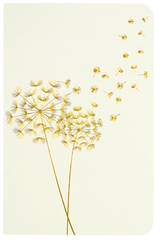 Jotter Mini Notebook Set: Dandelion Wishes