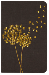 Jotter Mini Notebook Set: Dandelion Wishes