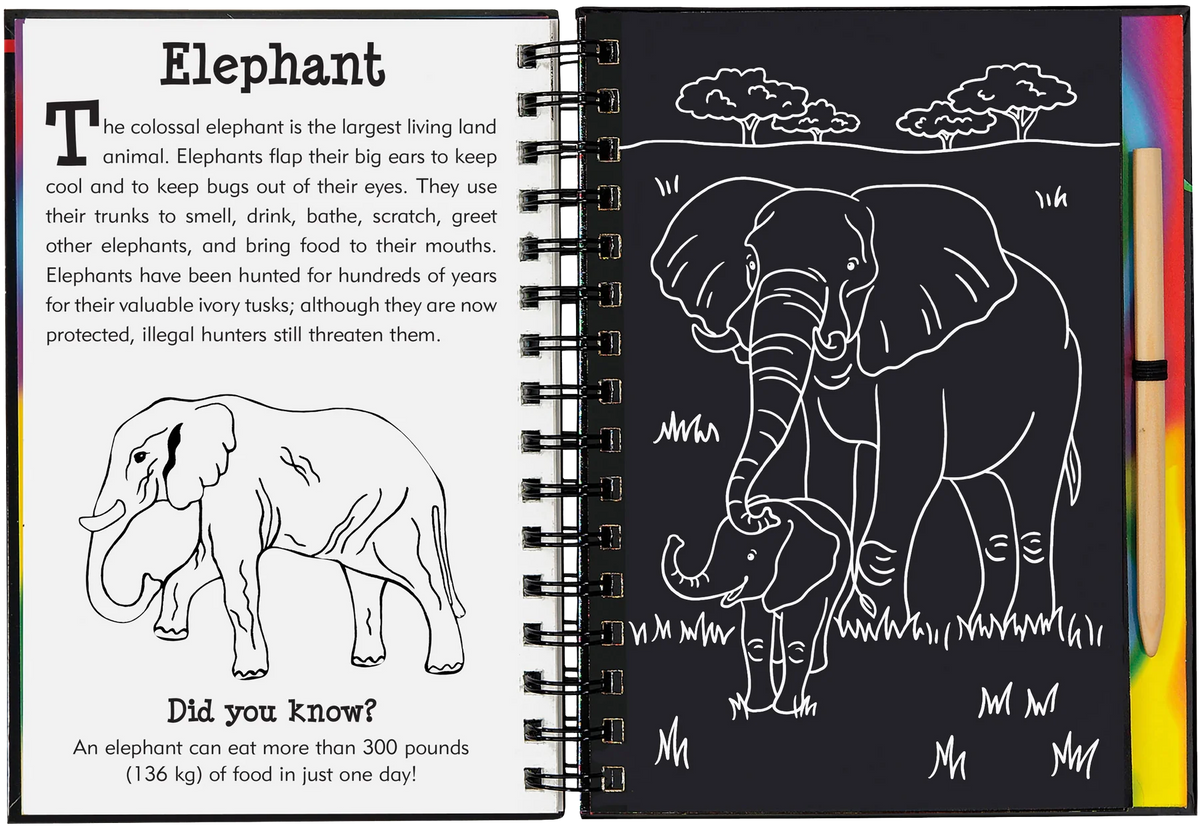 Wild Safari Scratch and Sketch