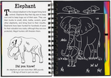 Wild Safari Scratch and Sketch
