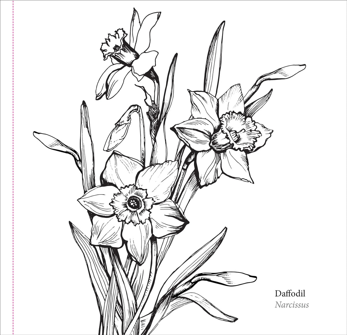 El libro para colorear del artista: Flores de primavera