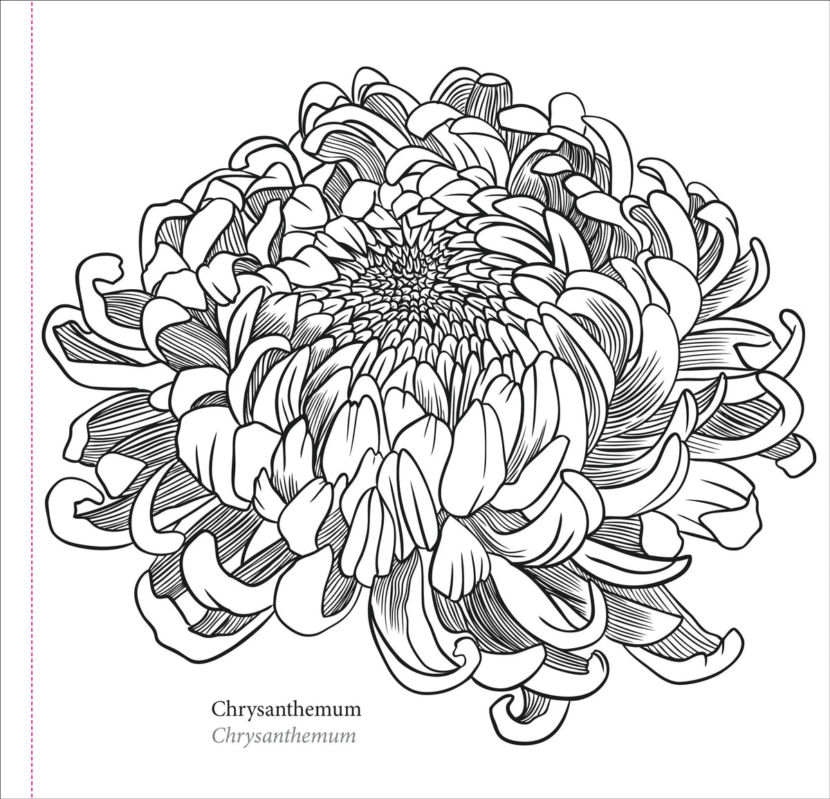 El libro para colorear del artista: Flores de primavera