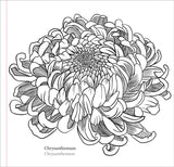 El libro para colorear del artista: Flores de primavera