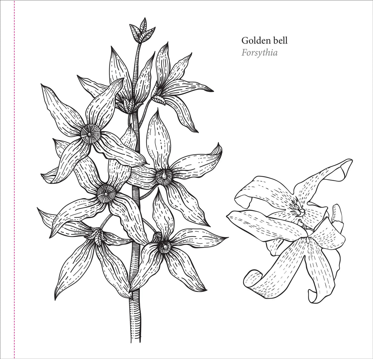 El libro para colorear del artista: Flores de primavera