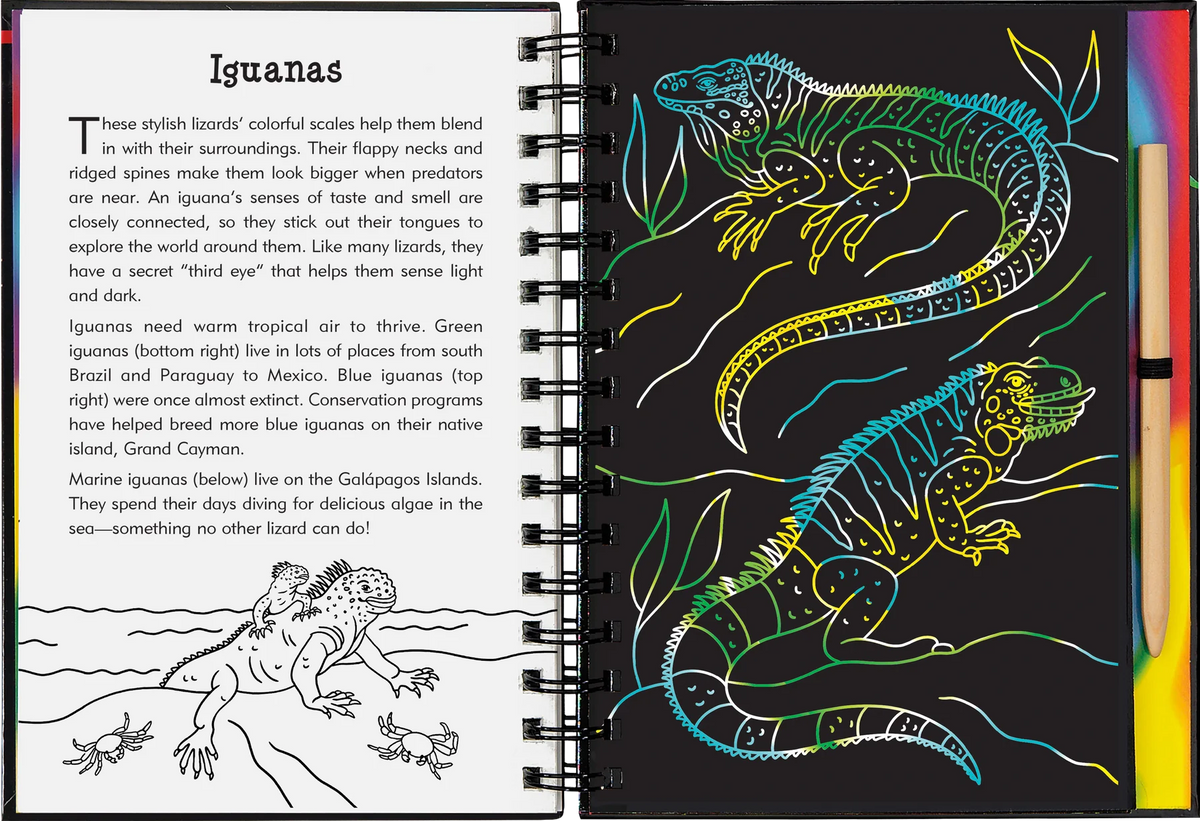 Reptiles y anfibios: Dibuja y borra
