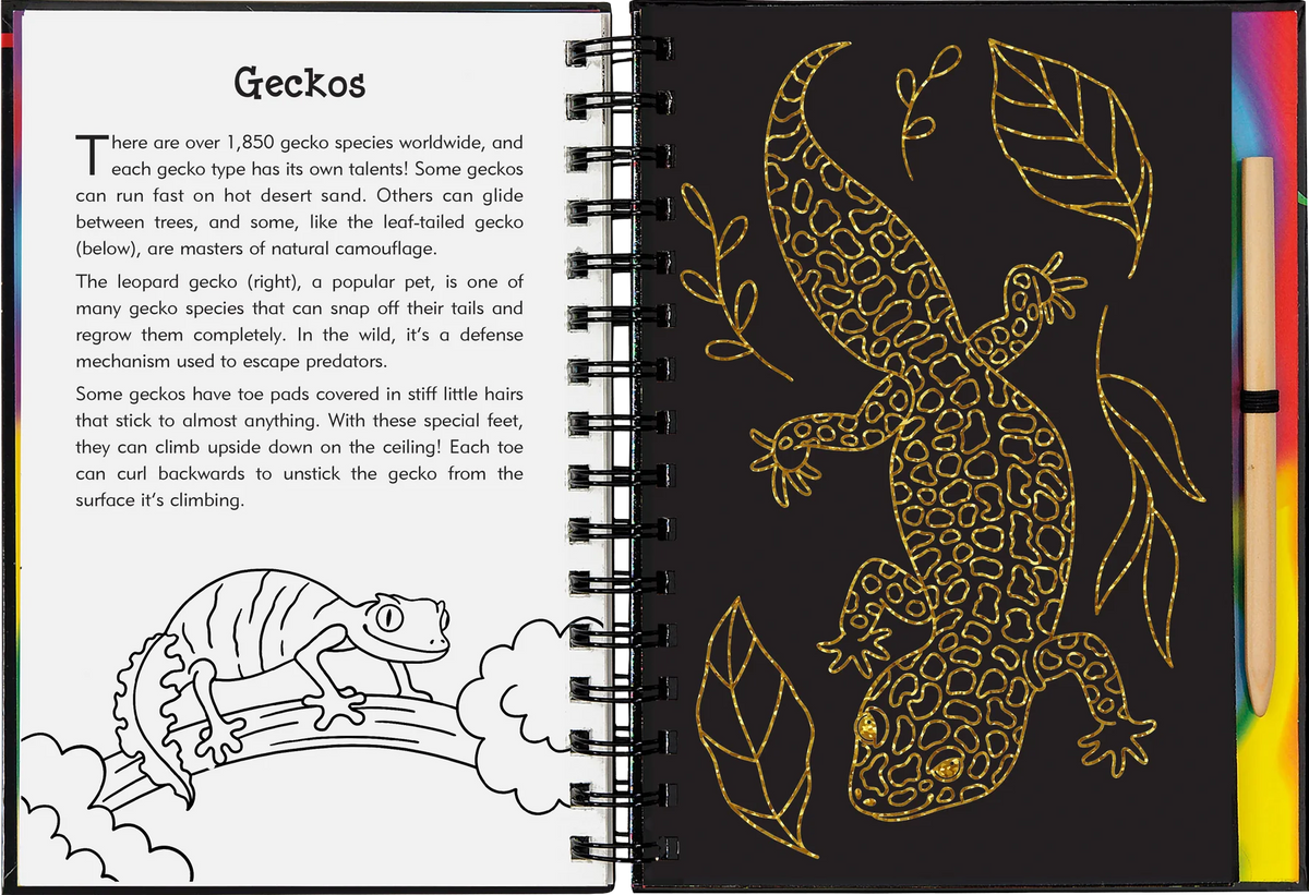Reptiles y anfibios: Dibuja y borra