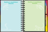 Reptiles y anfibios: Dibuja y borra