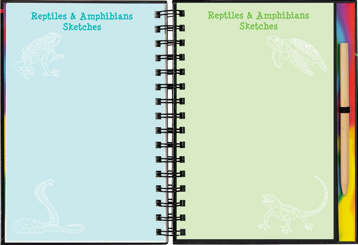 Reptiles y anfibios: Dibuja y borra