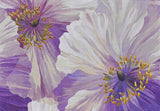 Tarjetas con Amapolas en Flor