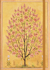Cuaderno Magnolia Antiguo