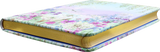 Dragonflies & Dandelions Journal