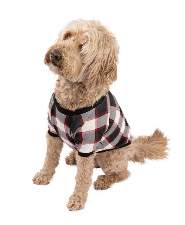 Camisa de cuadros escoceses para perro
