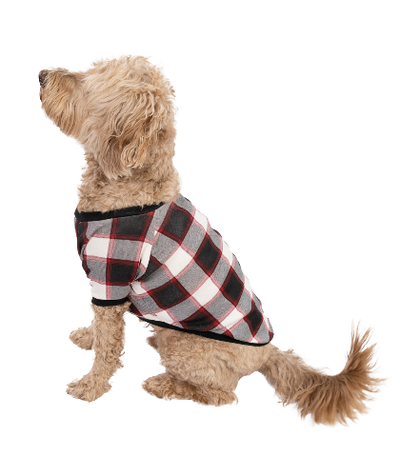 Camisa de cuadros escoceses para perro