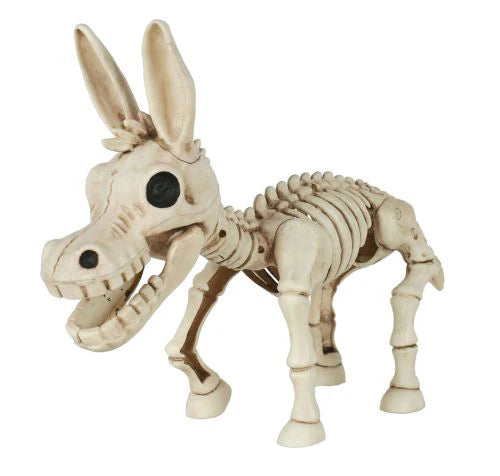 Esqueleto de burro 10in