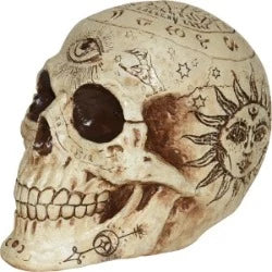 7" FORUNE TELLING SKULL