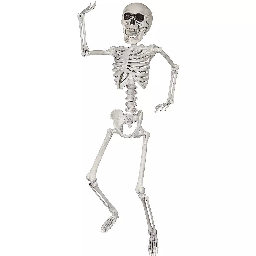 Esqueleto de 20 pulgadas