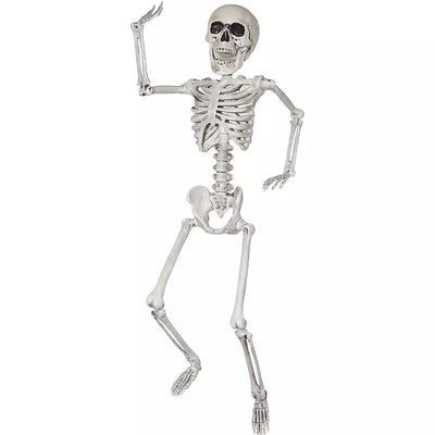 Esqueleto de 20 pulgadas