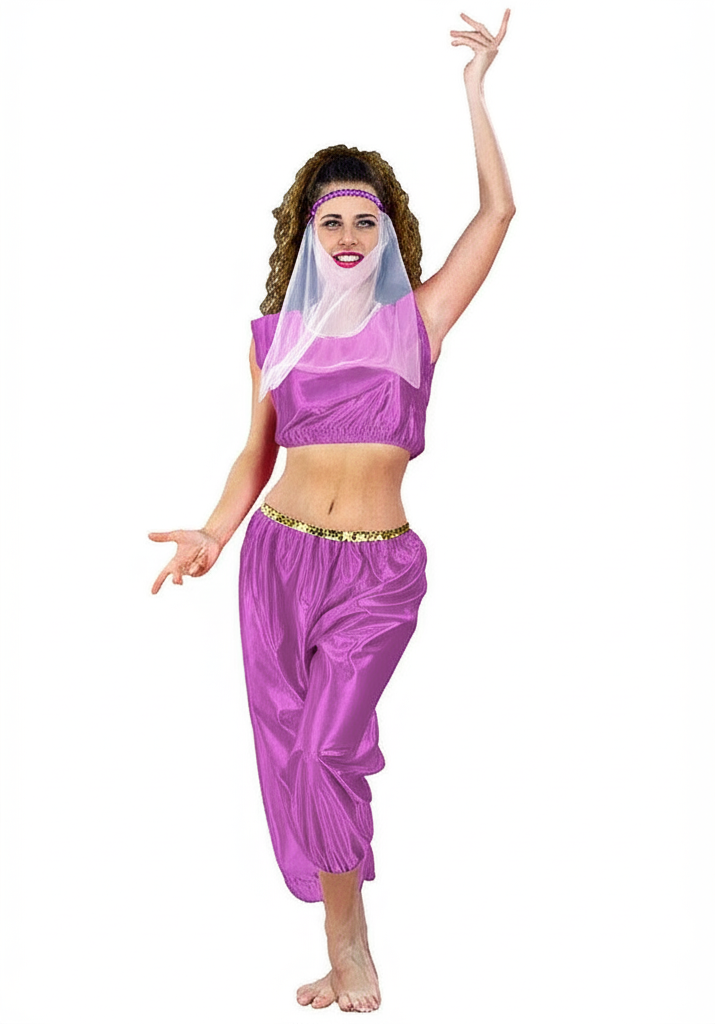 Harem Girl Purple - Halter & Pan